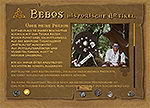 Bebo-Nogold